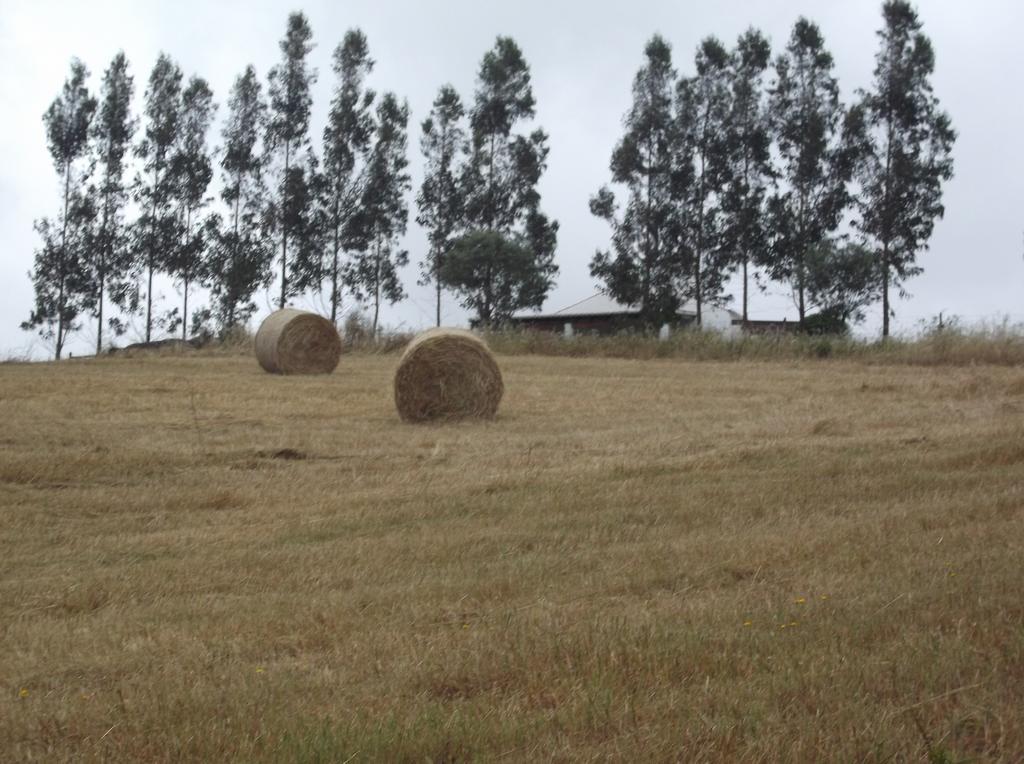 Vila Courela Do Salgueiro Carocha Pokoj fotografie
